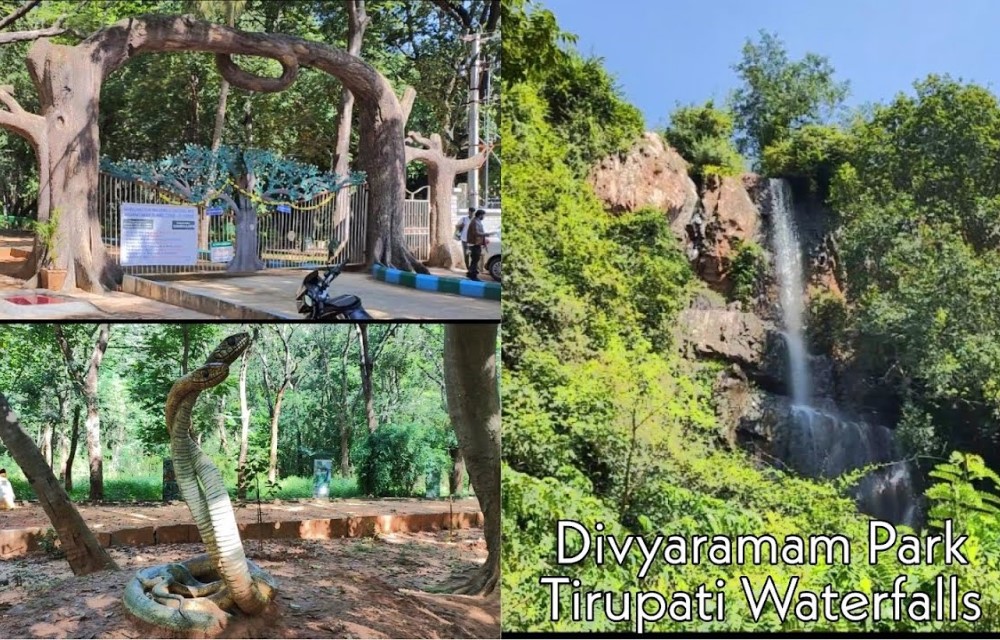 Divyaramam Park